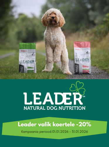 Leaderi valik koertele