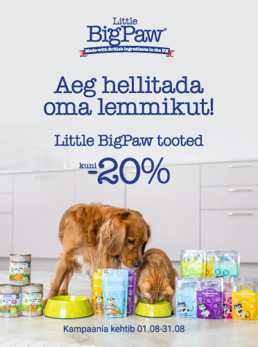 Little BigPaw sooduspakkumine