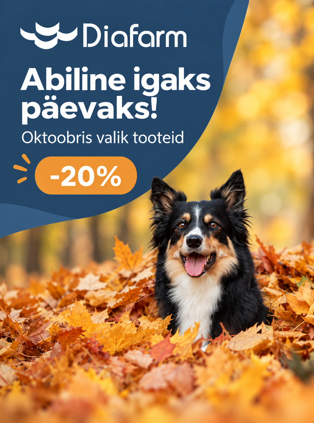 Diafarm oktoobris -20%
