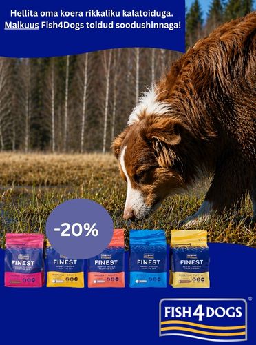 Fish4Dogs Mais -20%