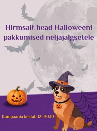 Halloweeni pakkumine
