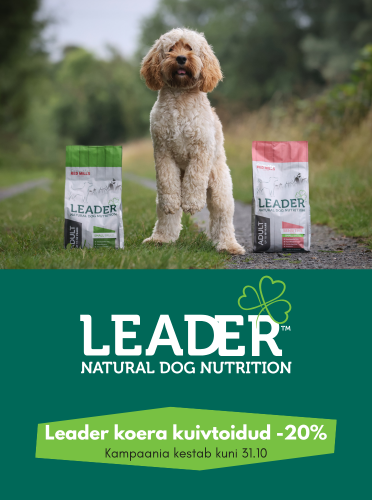 Leader Natural Dog nutrition