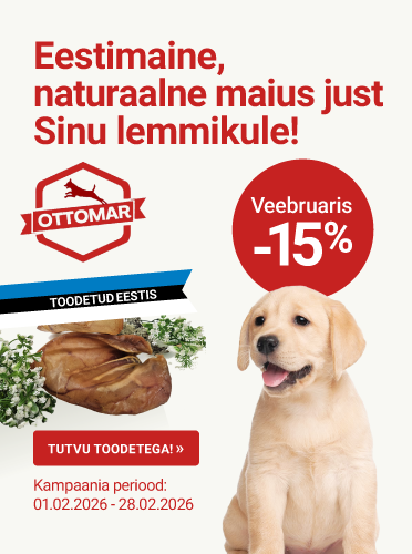 Ottomar pakkumine -15%