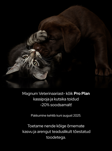 PPVD pusipakkumine