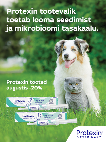 Protexin kuupakkumine august