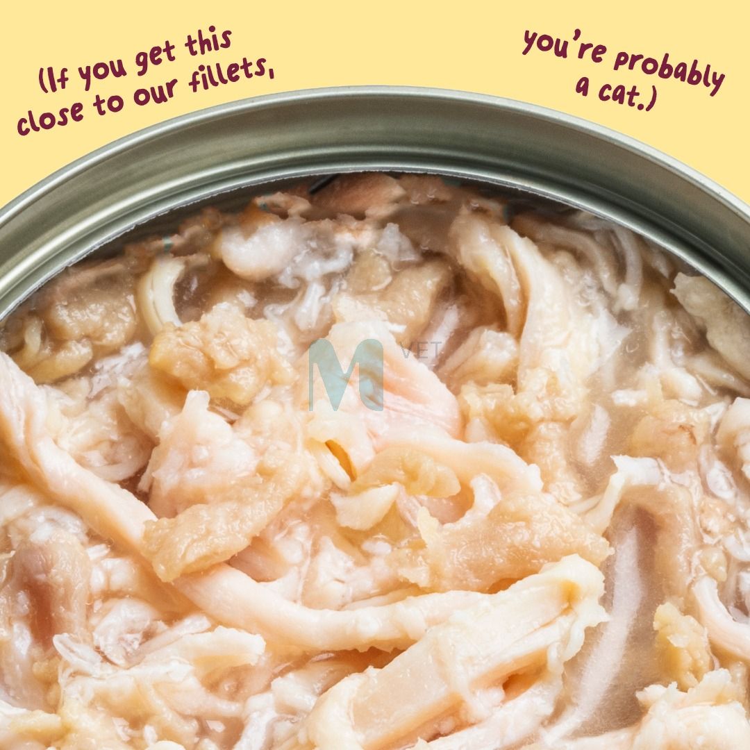 EDGARD COOPER KASSI KONSERV FILEED KANA/KALKUN 70G N1