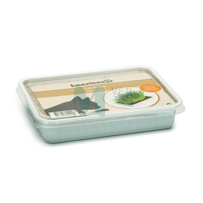 BEEZTEES KASSIMURU PLASTKARBIS 130G