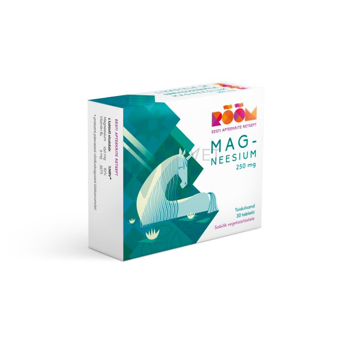 RÕÕM MAGNEESIUM 250MG TBL N30 VANA KOOSTIS