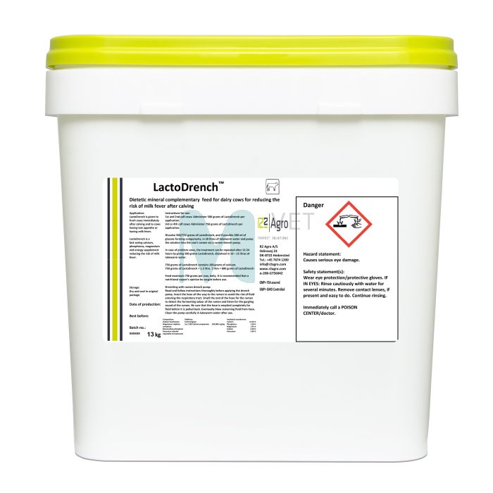 R2AGRO LACTODRENCH 13KG