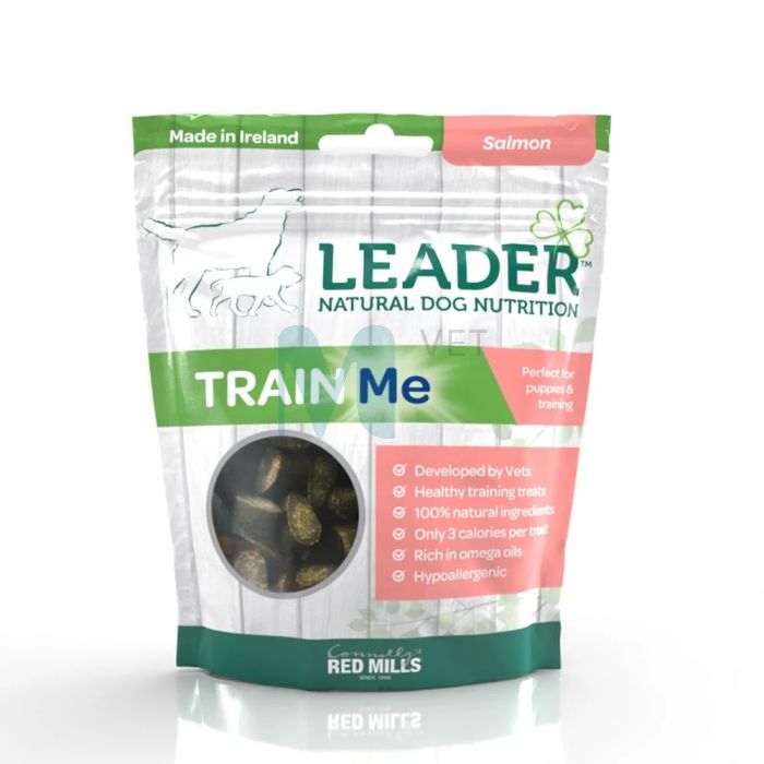 LEADER KOERA MAIUS TRAIN ME LÕHE 130G #