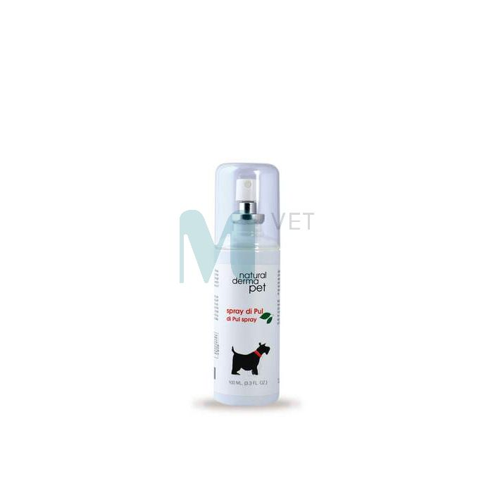 DERBE KOERA SPREI KIRBU-/PUUGIVASTANE 100ML