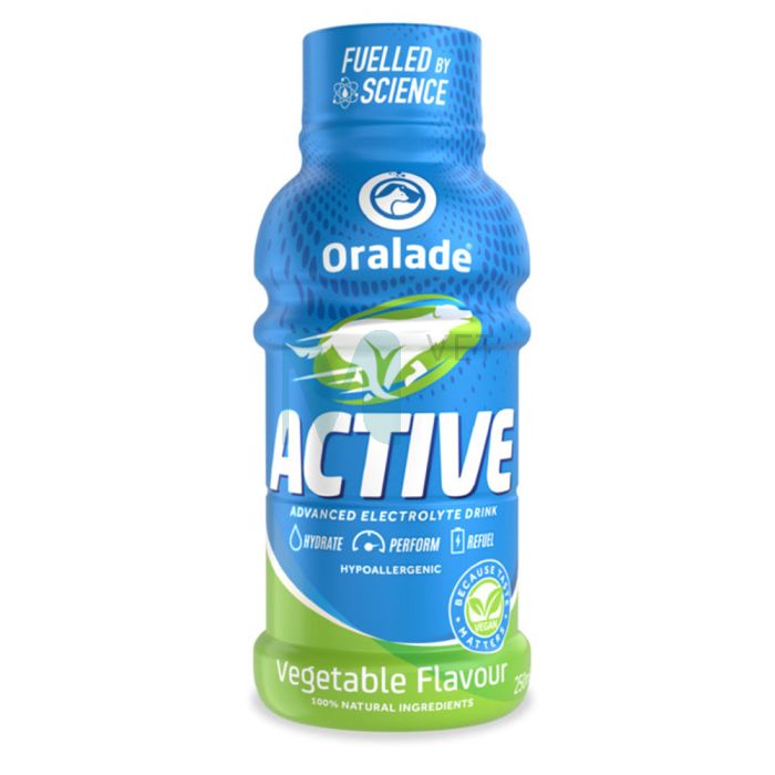 ORALADE ACTIVE JOOK KOERTELE KÖÖGIVILJADEGA 250ML N1