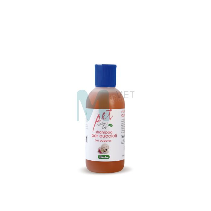 DERBE KUTSIKA SHAMPOON 200ML
