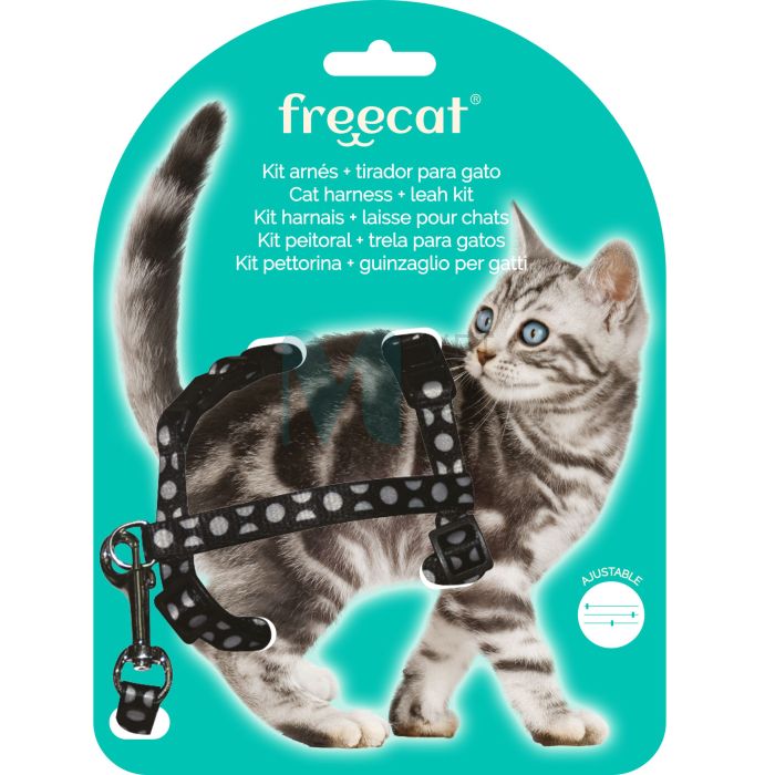 FREECAT KASSI TRAKSID+JALUTUSRIHM MUST