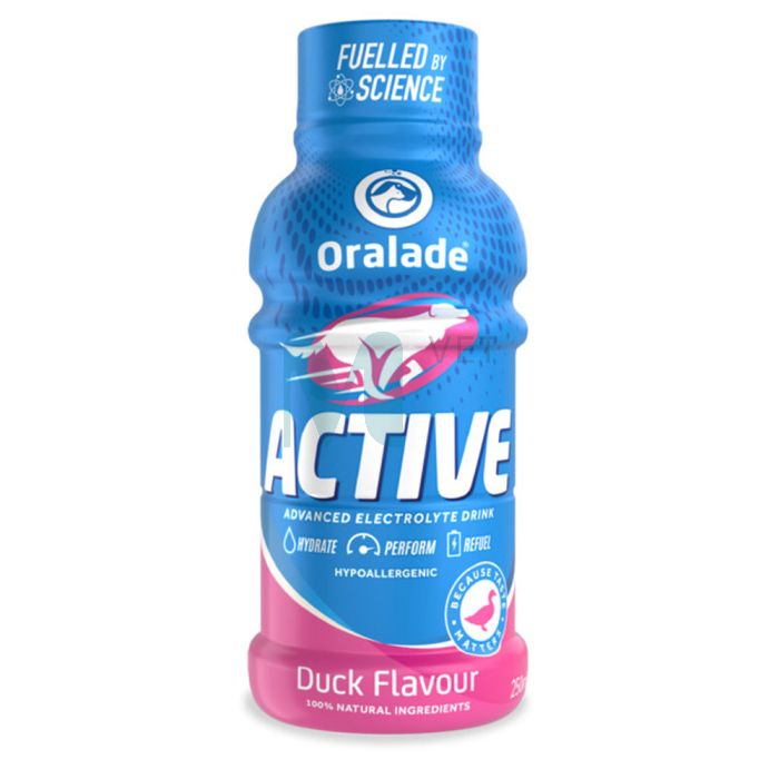 ORALADE ACTIVE JOOK KOERTELE PARDIGA 250ML N1
