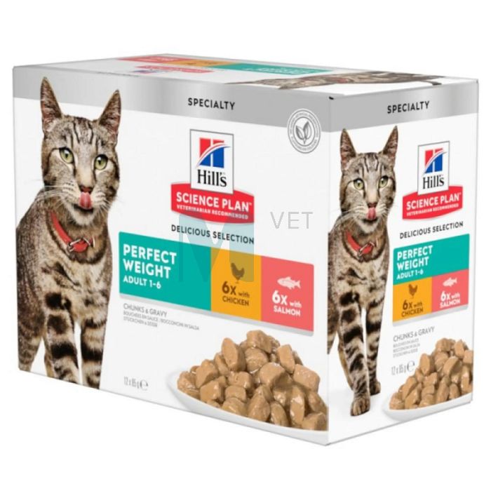 HILLS KASSI EINEKOTIKE PERFECT WEIGHT MULTI 85G N12