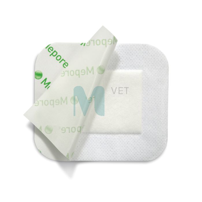 MEPORE HAAVAPLAASTER 9X20CM N30