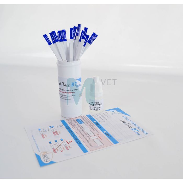 VEREGRUPI TEST ALVEDIA KOER N20