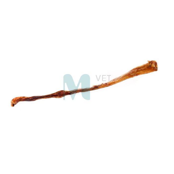NATURAALNE KOERA MAIUS PULLI PEENIS 80CM N1