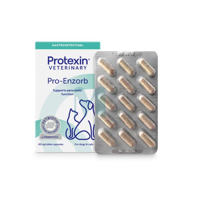 PROTEXIN PRO-ENZORB FOR DOGS AND CATS CAPS N60