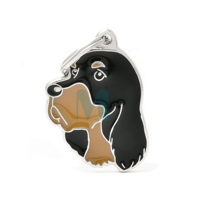 MY FAMILY RIPATS TÕUD GORDONI SETTER #