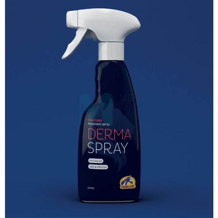 CAVALOR HOBUSE HOOLV DERMA SPRAY HAAVASPREI 250ML