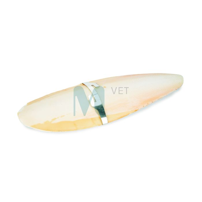 BEEZTEES LINDUDE MINERAALKIVI CUTTLEFISH BONE 20CM