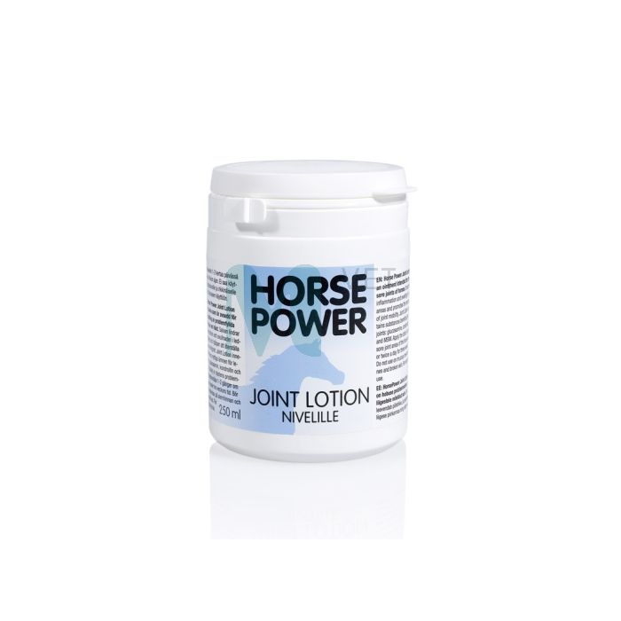 HORSE POWER LIIGESTE SALV 500ML