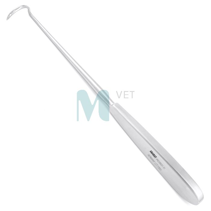 ABARUT LIGATUURINÕEL DESCHAMPS VASAK TERAV 21CM VND38221-21