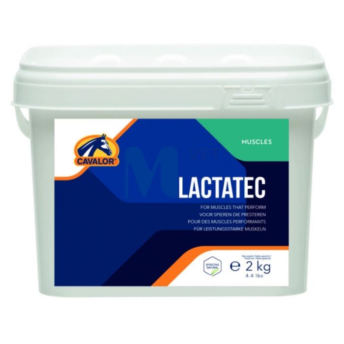 CAVALOR HOBUSE TÄIENDSÖÖT LACTATEC 2KG