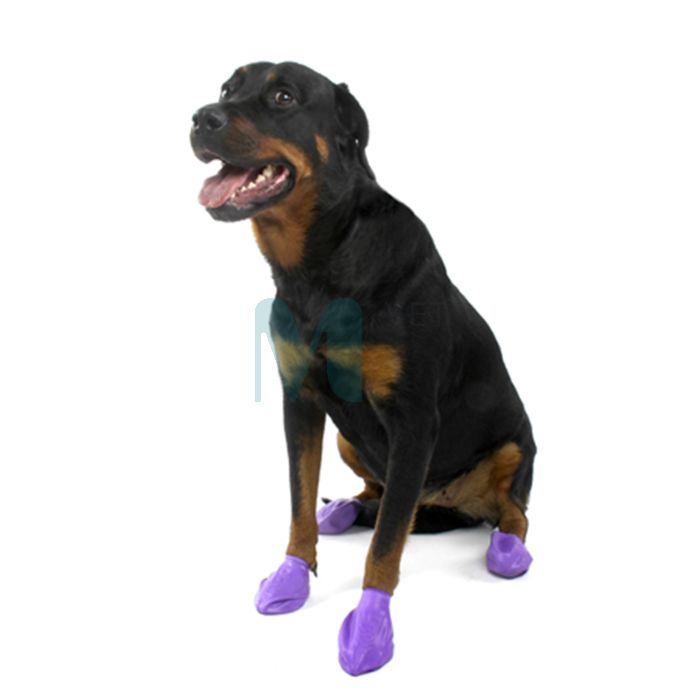 SCHULZE KOERA KUMMISOKID PAWS M SININE N12 #