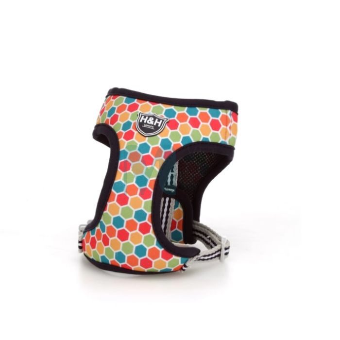 H&H KOERA Y-TRAKSID L VÄRVILINE #