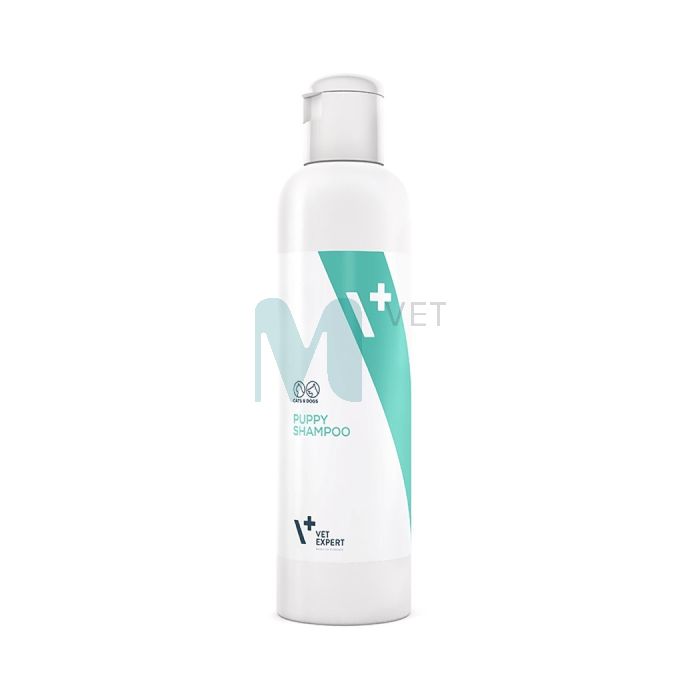 VETEXPERT KASSIPOJA/KUTSIKA SHAMPOON 250ML