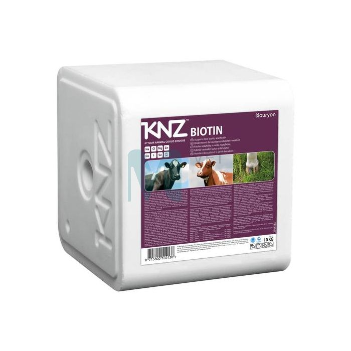 LAKUKIVI KNZ BIOTIN 10KG