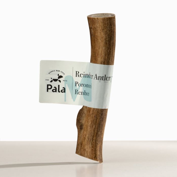 PALA KOERA MAIUS PÕHJAPÕDRASARV L (125-250G) #
