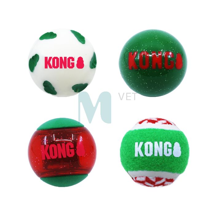 KONG KOERA MÄNGUASI HOLIDAY OCCASIONS PALLID N4