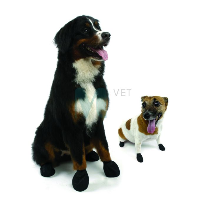 SCHULZE KOERA KUMMISOKID PAWS XS MUST N12 #