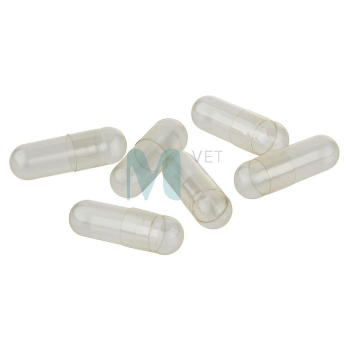 ŽELATIINIKAPSLID SUURUS 4 (14,4X5,1MM 0,19ML) N100