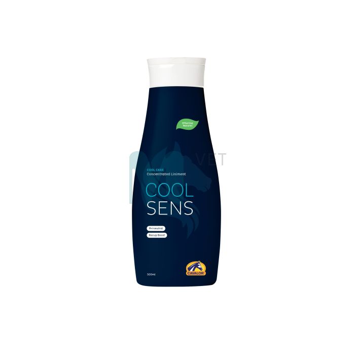 CAVALOR HOBUSE HOOLV COOLSENS JAHUTUSEKS 500ML