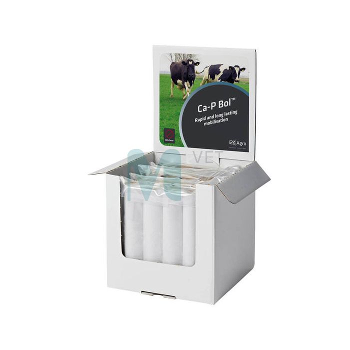 R2AGRO CA-P BOLUS 165G N4