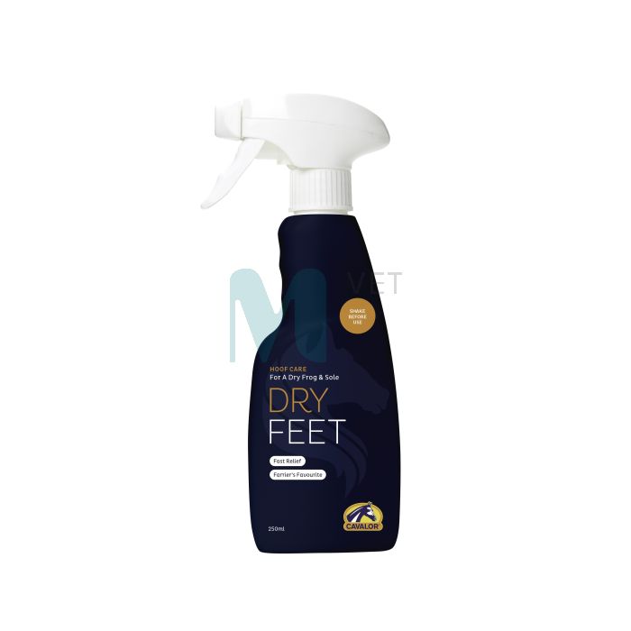CAVALOR HOBUSE HOOLV DRY FEET KIILUDELE SPREI 250ML