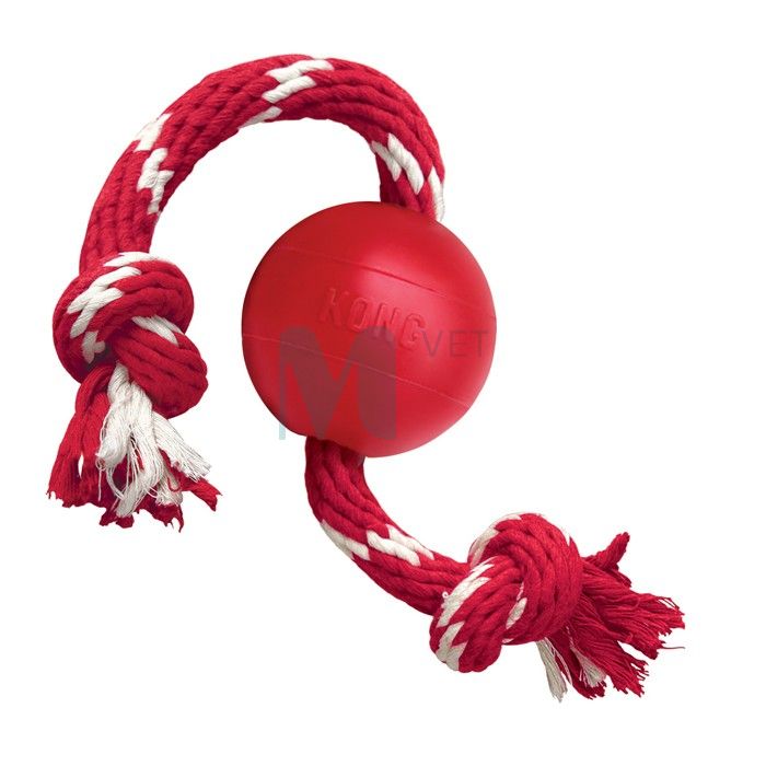 KONG BALL KOERA MÄNGUASI PALL NÖÖRIGA S #