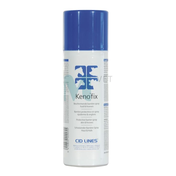 CL KENOFIX AEROSOOL 300ML / UN1950