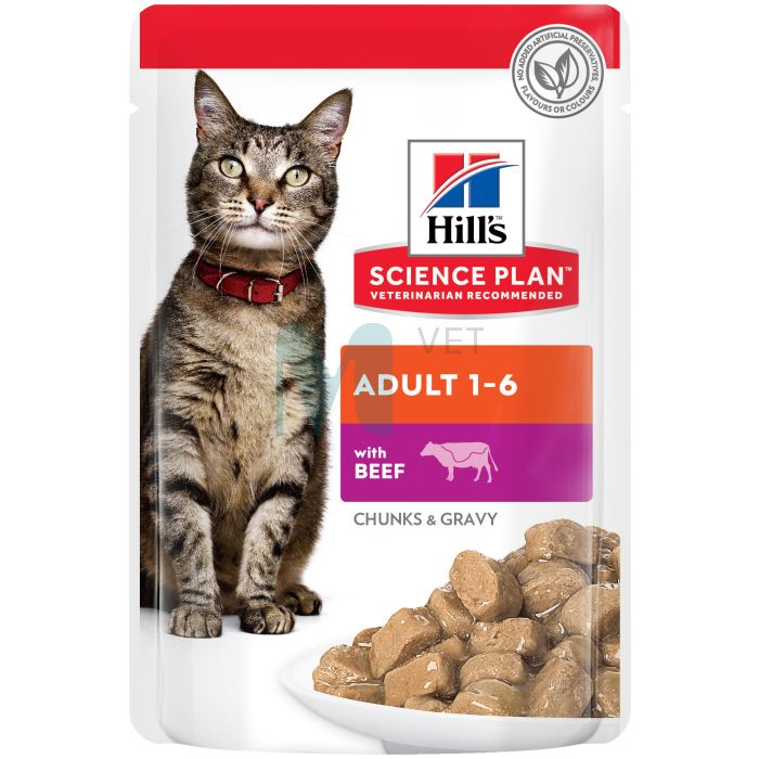 HILLS KASSI EINEKOTIKE VEIS 85G N12