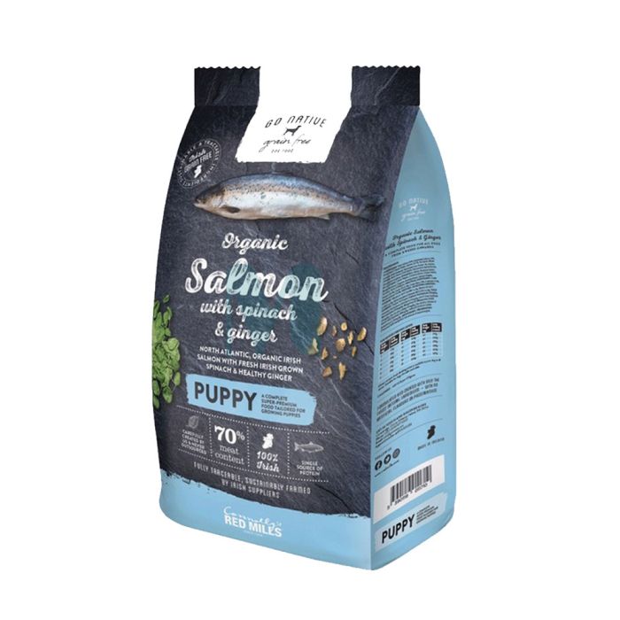 GO NATIVE KUTSIKA TÄISSÖÖT LÕHE/SPINAT/INGVER 800G