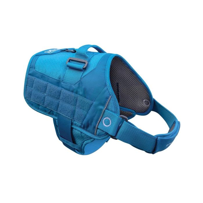 KURGO RSG TOWNIE TRAKSID XL #