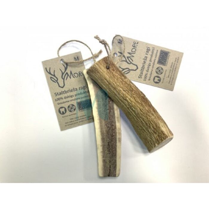 MORE KOERA MAIUS HIRVESARV M (31-70G) #