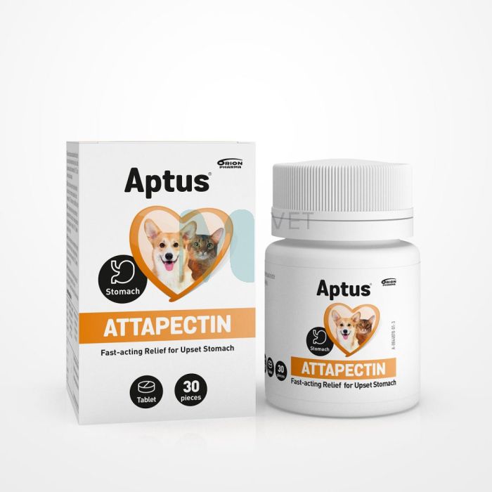 APTUS ATTAPECTIN TBL N30