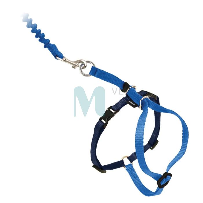 PETSAFE KASSI TRAKSID EASY WALK SININE M #