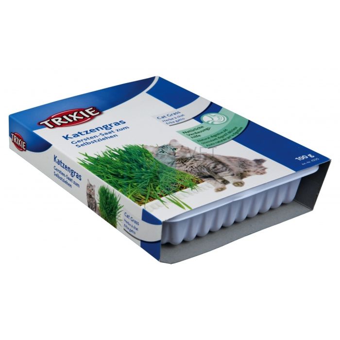 TR KASSIMURU KARBIS 100G